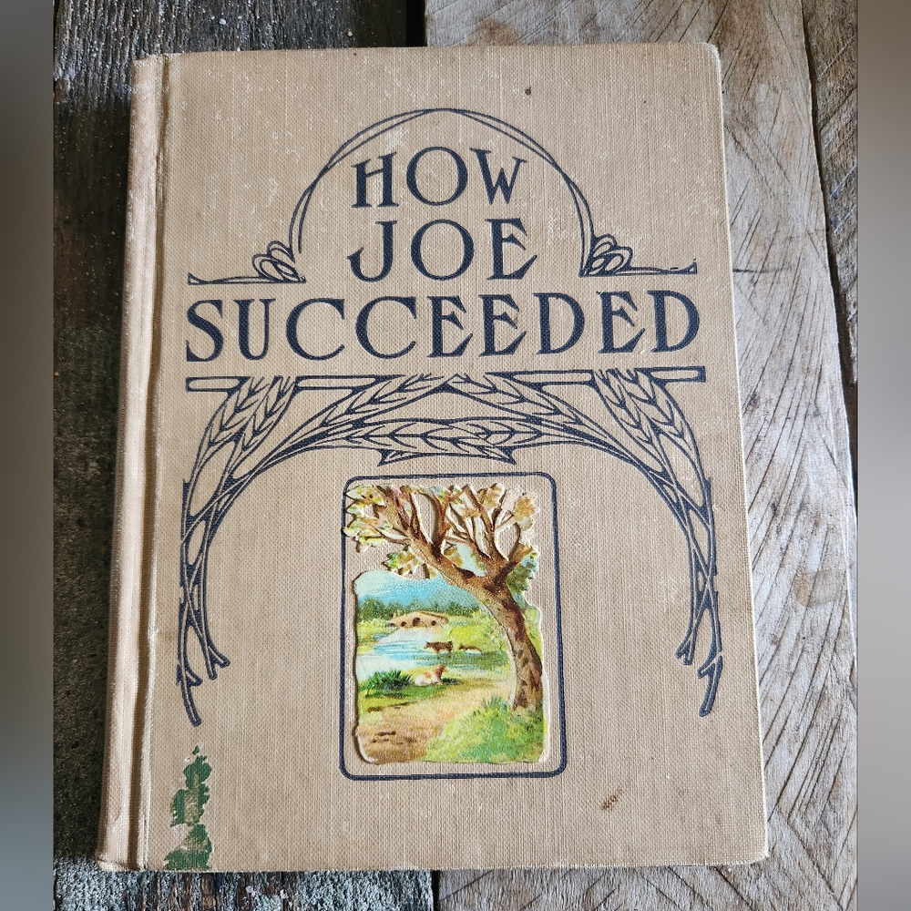 How Joe Succeeded vintage book